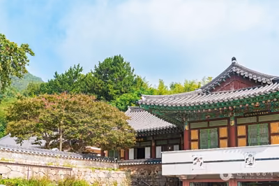 심향사(나주)
