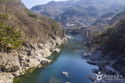 용유담