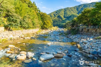 백암동천