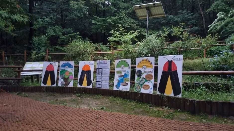 맹산반딧불이자연학교