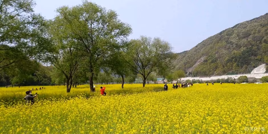 옥천금강수변 친수공원