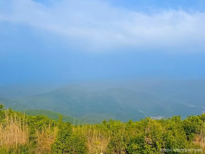 보현산(영천)