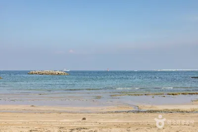종달리해변