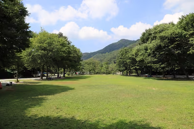 치악신림오토캠핑장