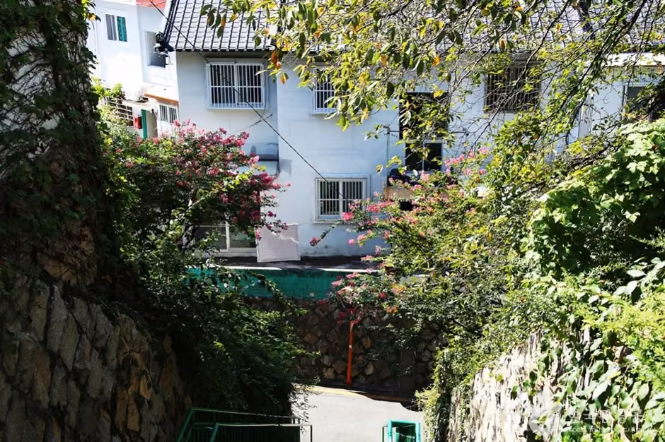 개금벚꽃길