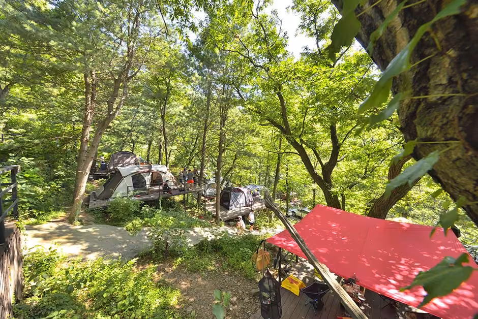 호명산캠프