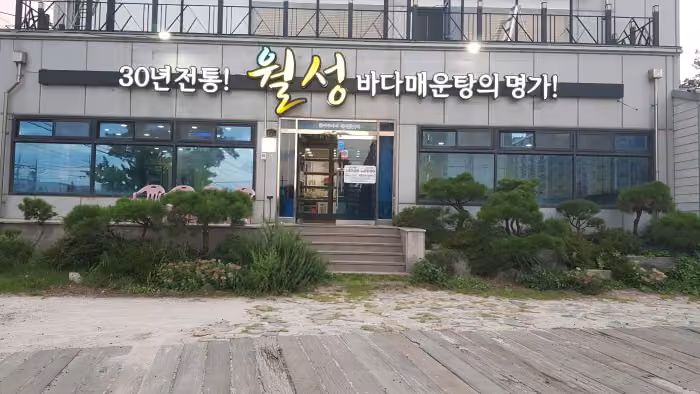 [백년가게] 월성 매운탕