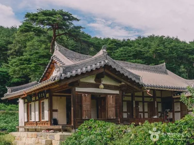 문행당