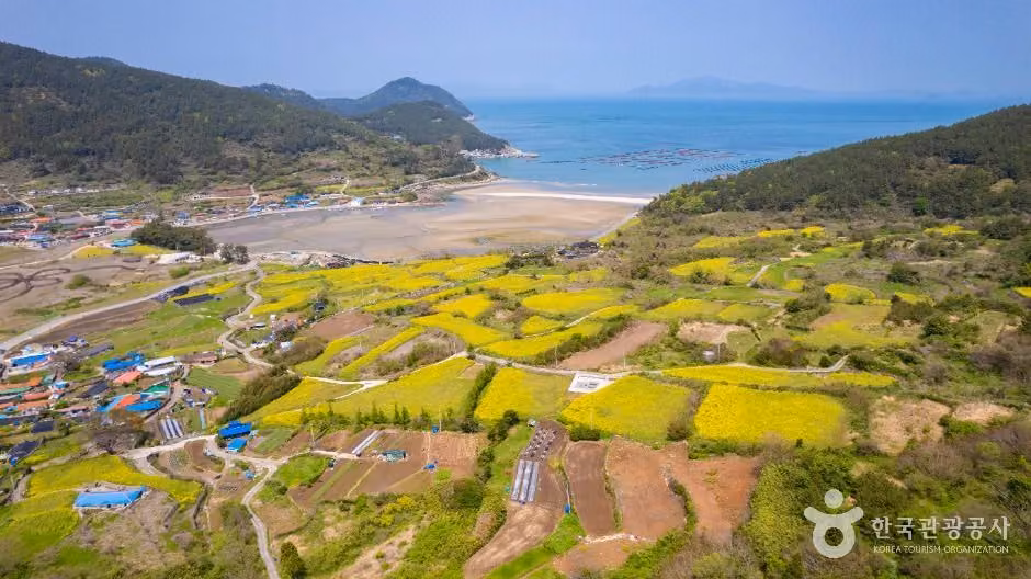 청산도