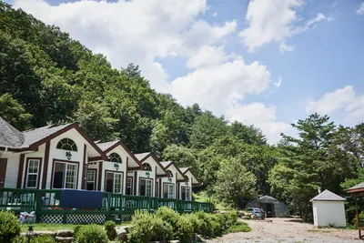 수림대마을