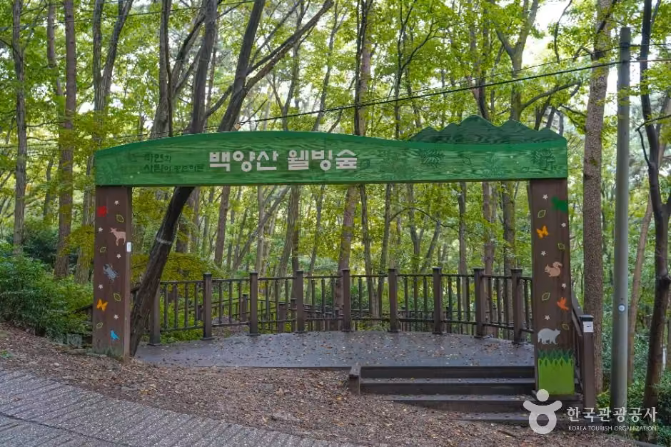 백양산 웰빙숲