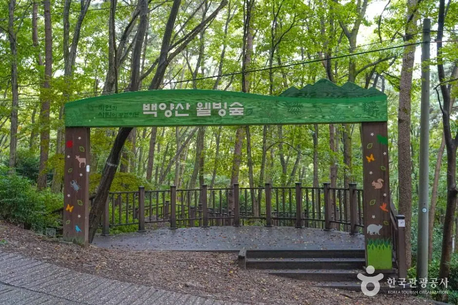 백양산 웰빙숲