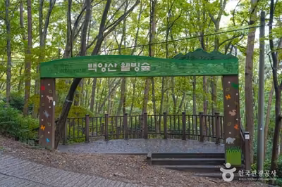 백양산 웰빙숲