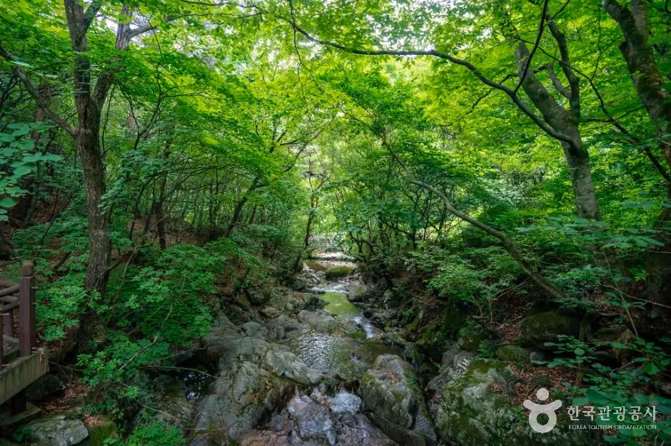 죽계구곡
