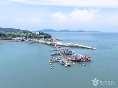 초전항