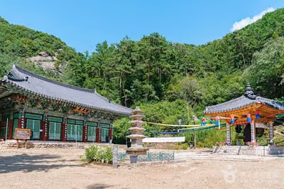 보흥사