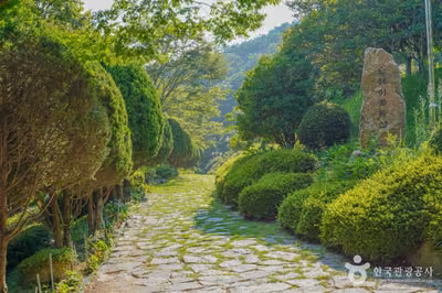 숲쟁이공원