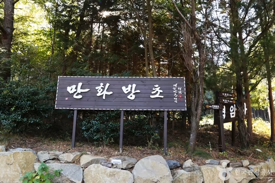 만화방초