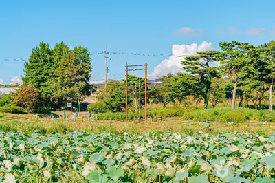 달맞이공원