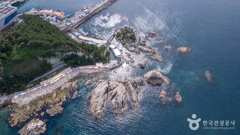 장호해변·장호항