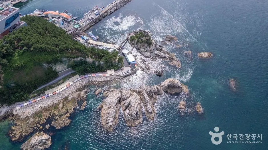 장호해변·장호항