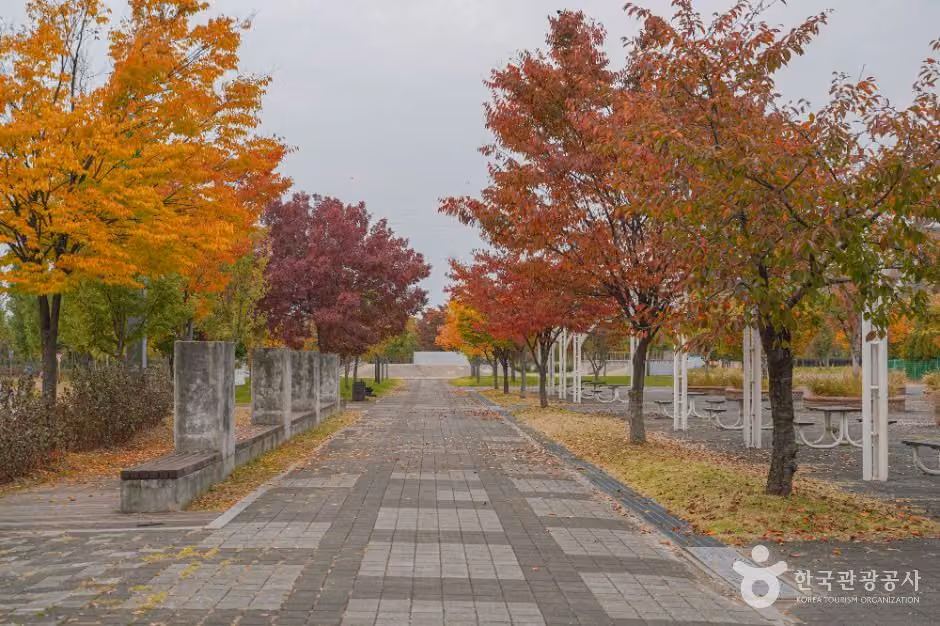 난지한강공원