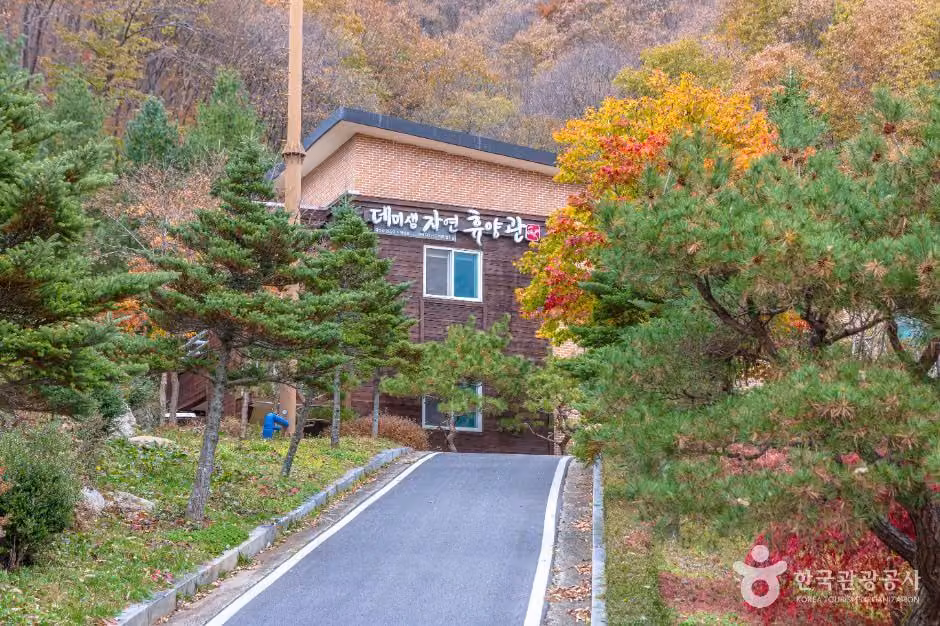 데미샘자연휴양림