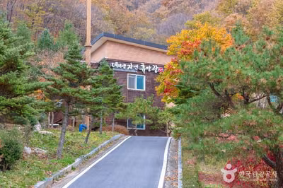 데미샘자연휴양림