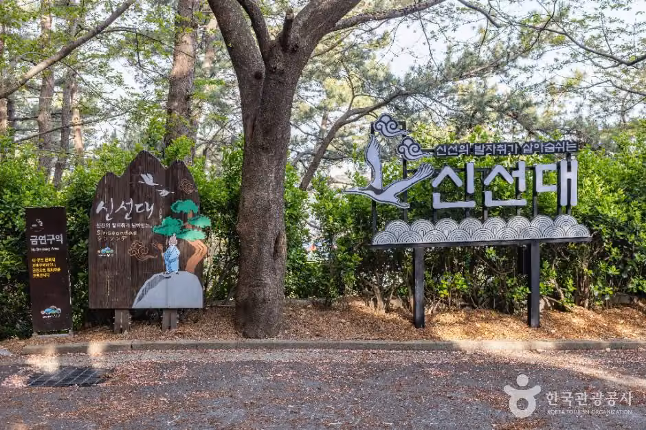 신선대(부산)