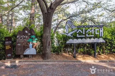 신선대(부산)