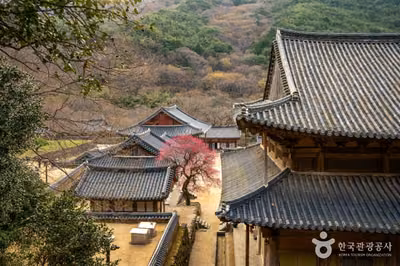 화엄사