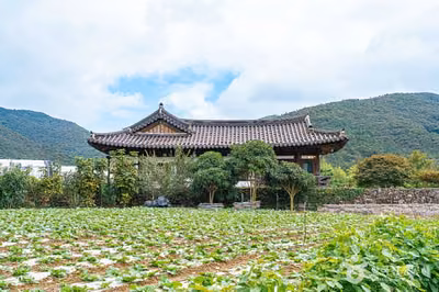 진도 의신사천마을 [농촌체험휴양마을]