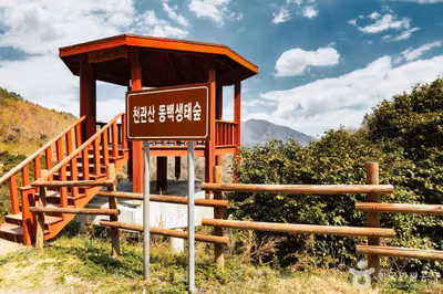 천관산동백생태숲