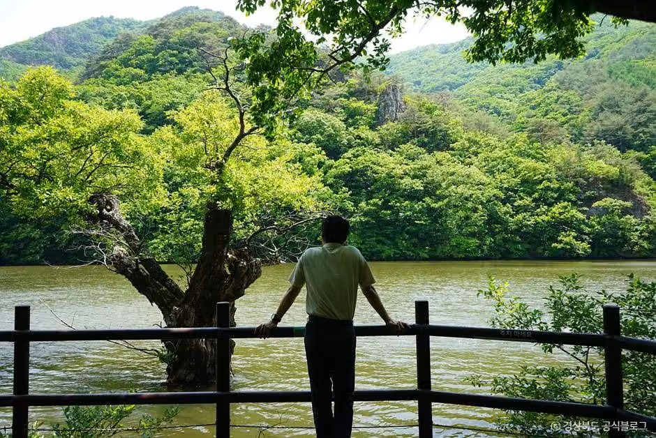 주산지(청송 국가지질공원)
