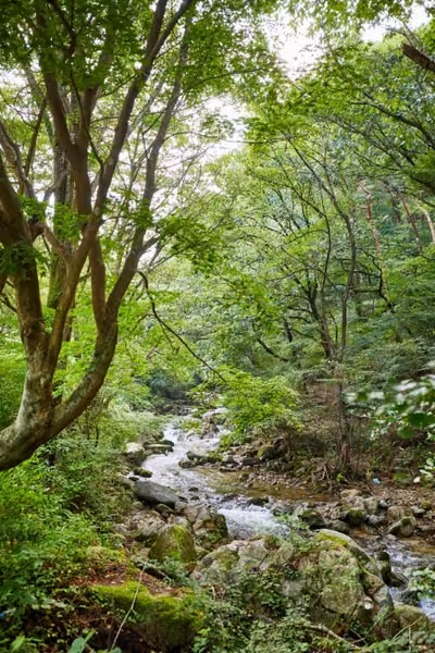 모악산도립공원