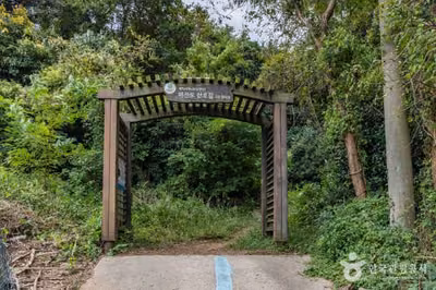 비진도 산호길