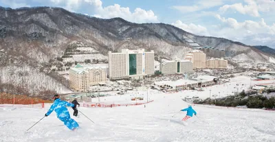 비발디파크 스키장