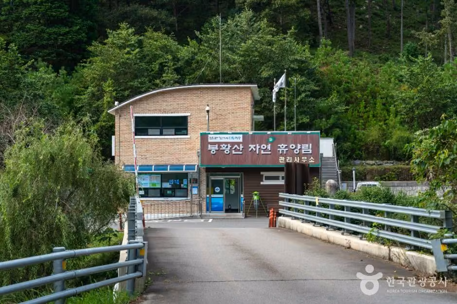 봉황산자연휴양림