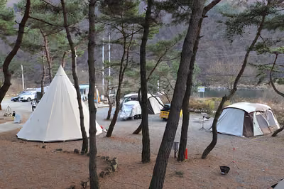 황금박쥐캠핑장