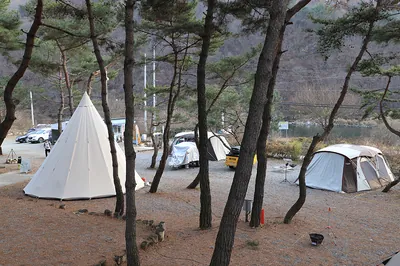 황금박쥐캠핑장