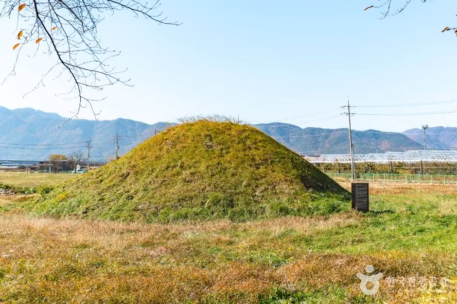 경주 금척리 고분군