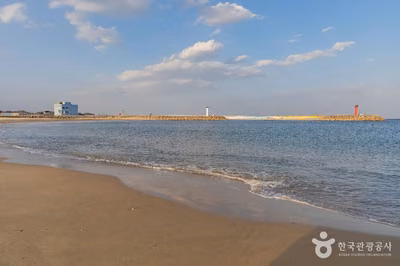 [강원평화누리자전거길 18코스] 고성 거진명태고향길