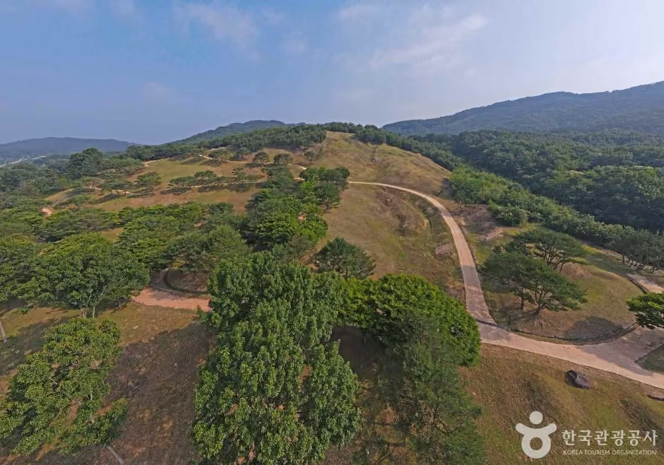 부여 능안골 고분군