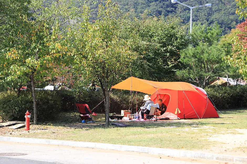 팔봉산관광지 야영장