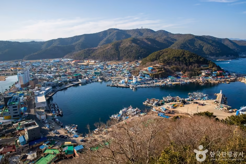 축산항