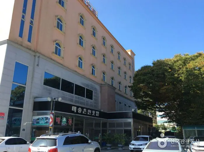미송온천호텔