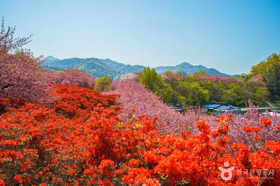 완산공원