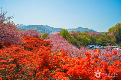 완산공원