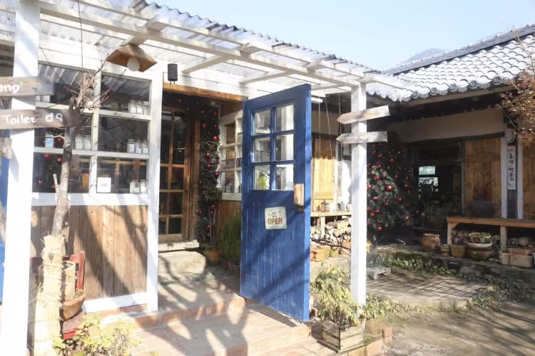 민들레