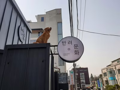 반려문화